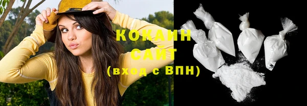 COCAINE Богородицк