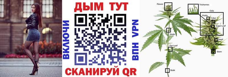 Каннабис AK-47  Костомукша 
